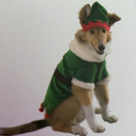 Dog elf Costume - Picture 1 of 3
